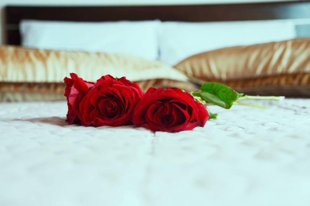 Mary'S Dreams Villa Symi Bagian luar foto